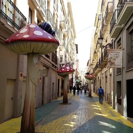 Estudio Centro * Alicante